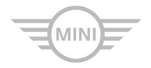 Logo Plaza Mini